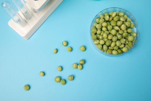 嫩豌豆食品安全農業(yè)科技食品培育攝影圖 插畫 下載至來源處