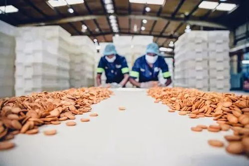 邊角料食品 莫讓“省錢(qián)寶藏”變成“零食刺客”